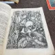 Stela Brie - Castelul vanturilor (cu ilustratii de Estera Takacs)