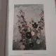 Stoenescu - Gh. Oprescu  album