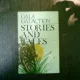 Stories and tales - Gala Galaction