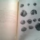Stratigrafia si fauna depozitelor tortoniene si sarmatiene dintre Jiu si Oltet - Mira Tudor