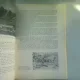 STUDII MUZEALE VOL.III