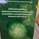 Studii privind evaluarea şi monitorizarea cantitativa a metalelor grele si a pesticidelor ca principali contaminanti in sistemul sol-vita-de-vie-vin - Florin Dumitru Bora