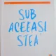 SUB ACEEASI STEA DE JOHN GREEN , 2013
