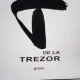 T DE LA TREZOR - STEFAN AUG. DOINAS  (PROZE)