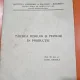Taierea merilor si perilor in productie - Prof. Dr. Doc. St. Aurel Negrila