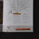 TAIEREA PLANTELOR ORNAMENTALE - STEVE BRADLEY