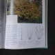 TAIEREA PLANTELOR ORNAMENTALE - STEVE BRADLEY