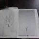 TAIERILE LA POMI