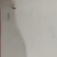 Tarani la sfat - Nicolae Brana - xilogravura