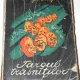 TARGUL TRASNITILOR - GH. CHIPER