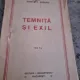 TEMNITA SI EXIL - ZAMFIR C. ARBURE