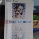 TESTE KARMICE - VICTOR BODO