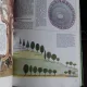 THE CHILDREN'S ENCYCLOPEDIA OF NATURAL HISTORY  (ISTORIA STIINTELOR NATURII. ENCICLOPEDIE PENTRU COPII)