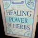 The Healing Power of Herbs: The Enlightened Person s Guide to wonders of medicinal plants - Michael T. Murray
