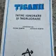 TIGANII INTRE IGNORARE SI INGRIJORARE - ELENA ZAMFIR