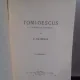 TOMI OESCUS - G. MATEESCU