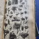 Tout en Un - Encyclopedie Illustree des Connaissances Humaines