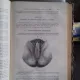 TRAITE D'ANATOMIE TOPOGRAPHIQUE - L. TESTUT   VOLUMUL 2