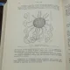 TRATAT DE FITOPATOLOGIE AGRICOLA - E. RADULESCU  VOL.2