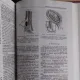 TRATAT DE PATOLOGIE CHIRURGICALA - NICOLAE ANGELESCU   VOL.1