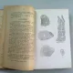 TRATAT ELEMENTAR DE TERAPEUTICA - A. THEOHARI  FASCICOLUL I, II, III  COLIGATE