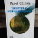 TREPTELE NEDESAVARSIRII, PAVEL CHIHAIA