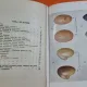 Trifoiul. Studiu agricol și economic - Emil Petrini