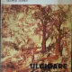 ULCIOARE DE PIATRA - GEORGE LESNEA