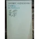 UMBRA SUNETULUI - ANDREI VOZNESENSKI