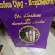 UN BLESTEM CU DOMICILIUL STABIL - RODICA OJOG BRASOVEANU