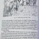 V. Cotta / M. Bodea / I. Micu - Vanatul si vanatoarea in Romania