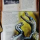 VANATORII DE DINOZAURI - PIONIERII - JEN GREEN