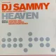 Vinil Heaven - DJ Sammy