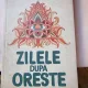Vitalie Ciobanu - Zilele dupa Oreste