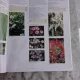 VIVAI MARGHERITI 2002-2003, CATALOG PLANTE  (TEXT IN LIMBA ITALIANA)