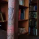 Voyages extraordinaires. La Jangada huit cents lieus sur l Amazone - Jules Verne