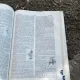 Webster s Deluxe Color Edition New World Dictionary of the American Language