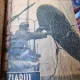 Ziarul Stiintelor Anul 1935-1940 ( diverse numere colegate)