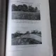 ZONELE DE VEGETATIE LEMNOASA DIN ROMANIA IN RAPORT CU CONDITIUNILE ORO-HIDROGRAFICE, CLIMATICE, DE SOL SI SUBSOL - P. ENCULESCU