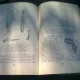 ZOOLOGIA NEVERTEBRATELOR - VALERIA FIRA
