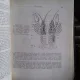 Zoologia nevertebratelor vol.2 - Vasile Gh. Radu, Varvara V. Radu