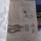 ZOOLOGIE